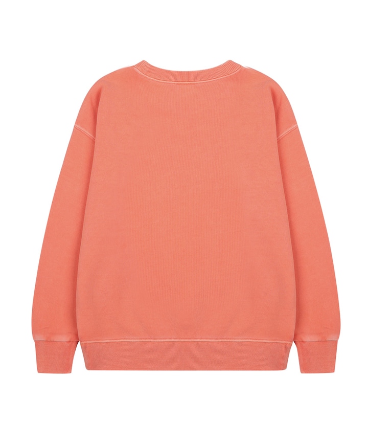 Sweater oranje