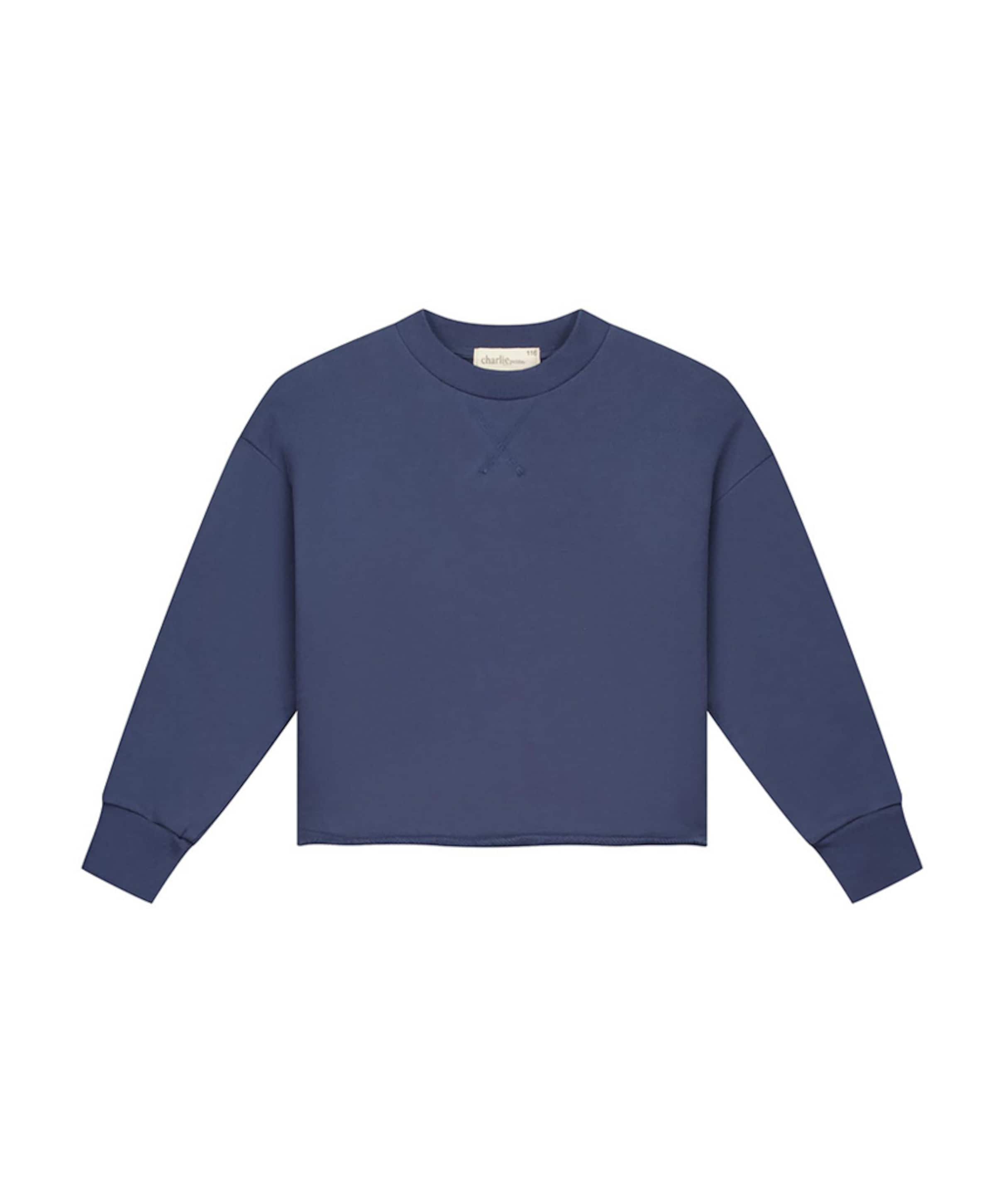 Sweater blauw