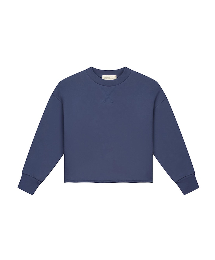 Sweater blauw