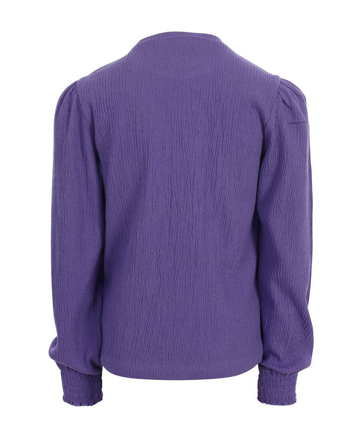 Meisjes longsleeve paars