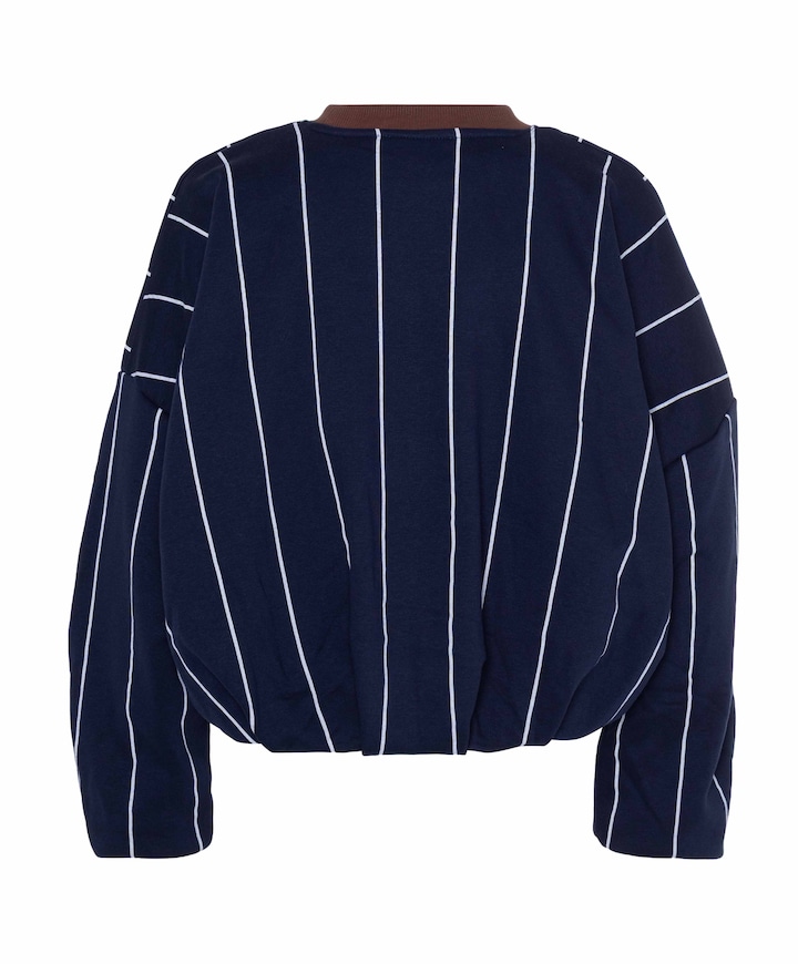 Dames sweater blauw