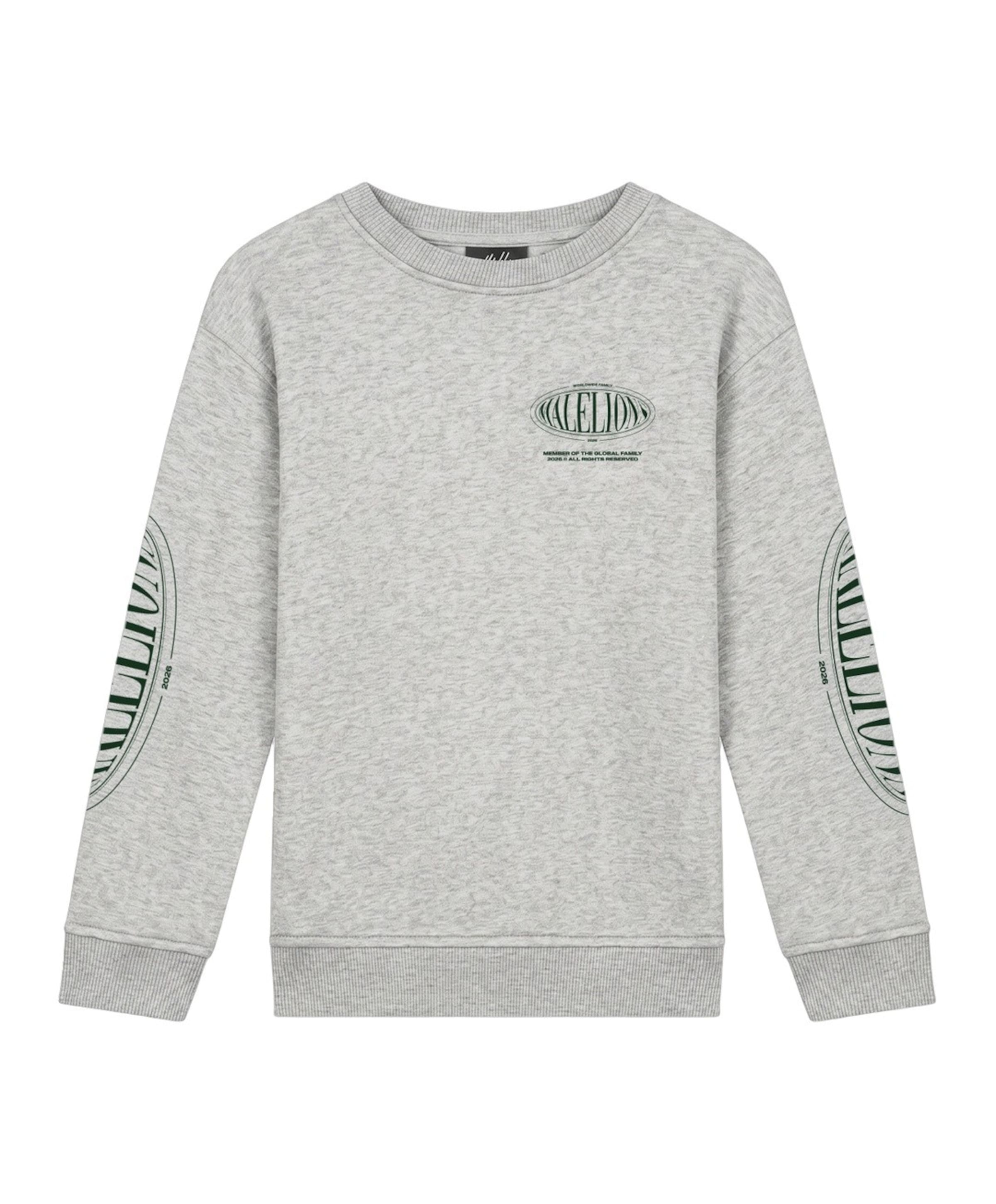 Jongens sweater grijs