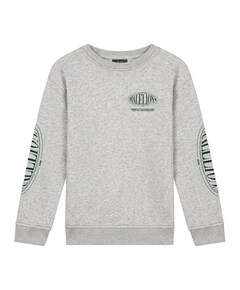 Jongens sweater grijs