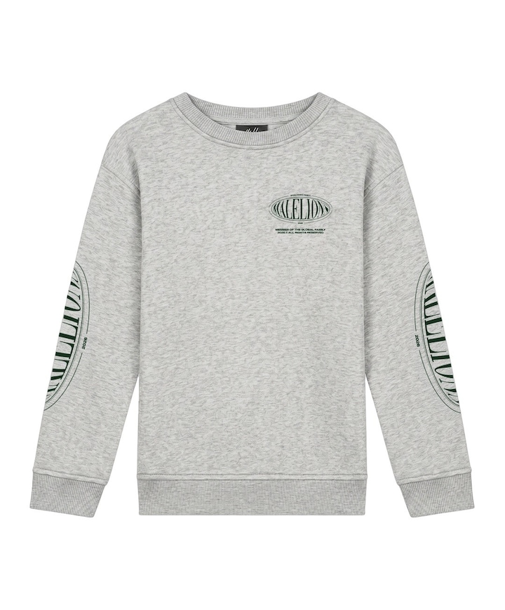 Jongens sweater grijs
