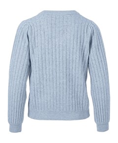 Dames trui blauw