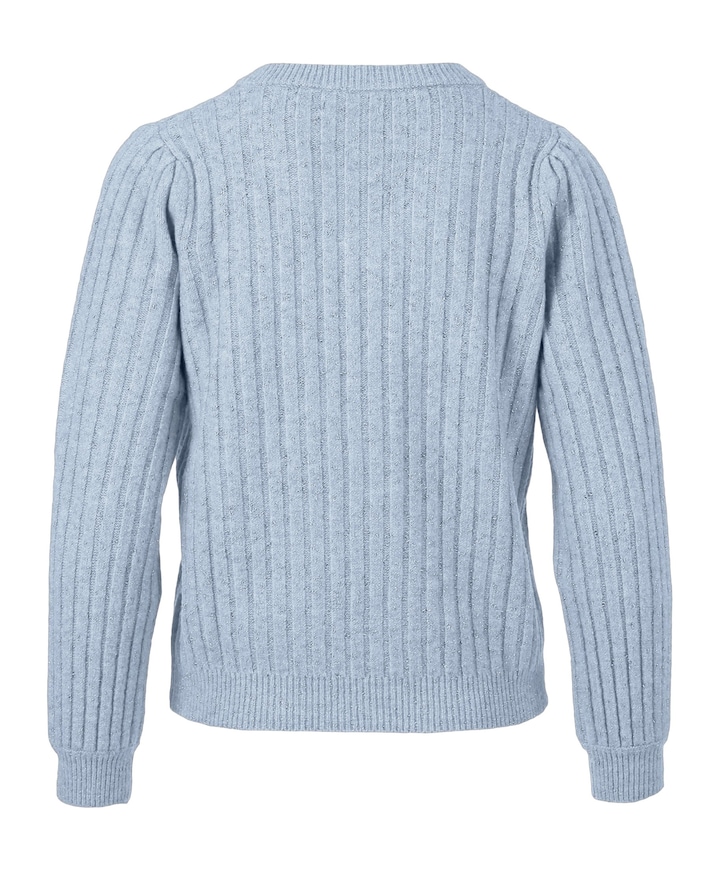 Dames trui blauw