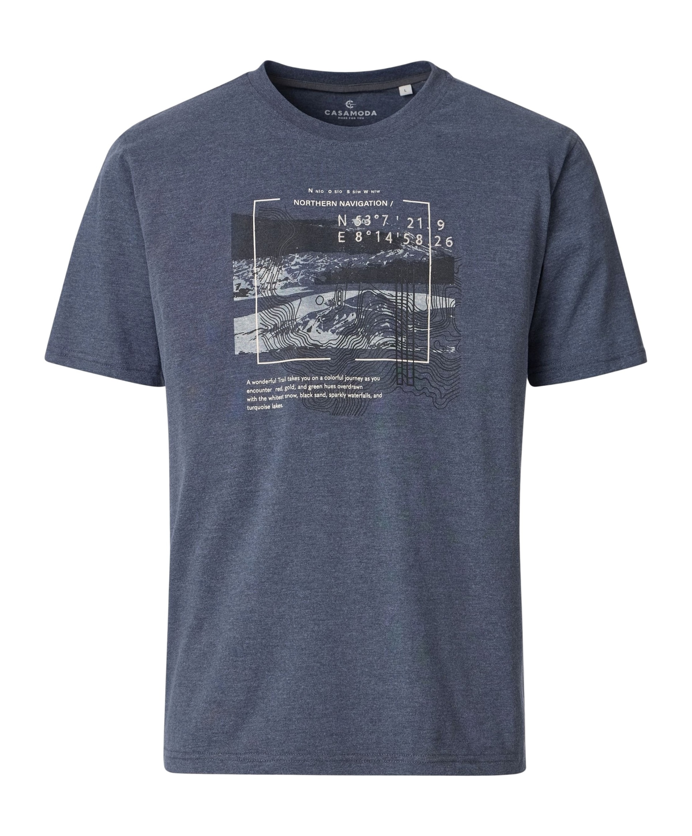 Heren T-shirt grijs