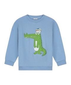 Jongens sweater blauw