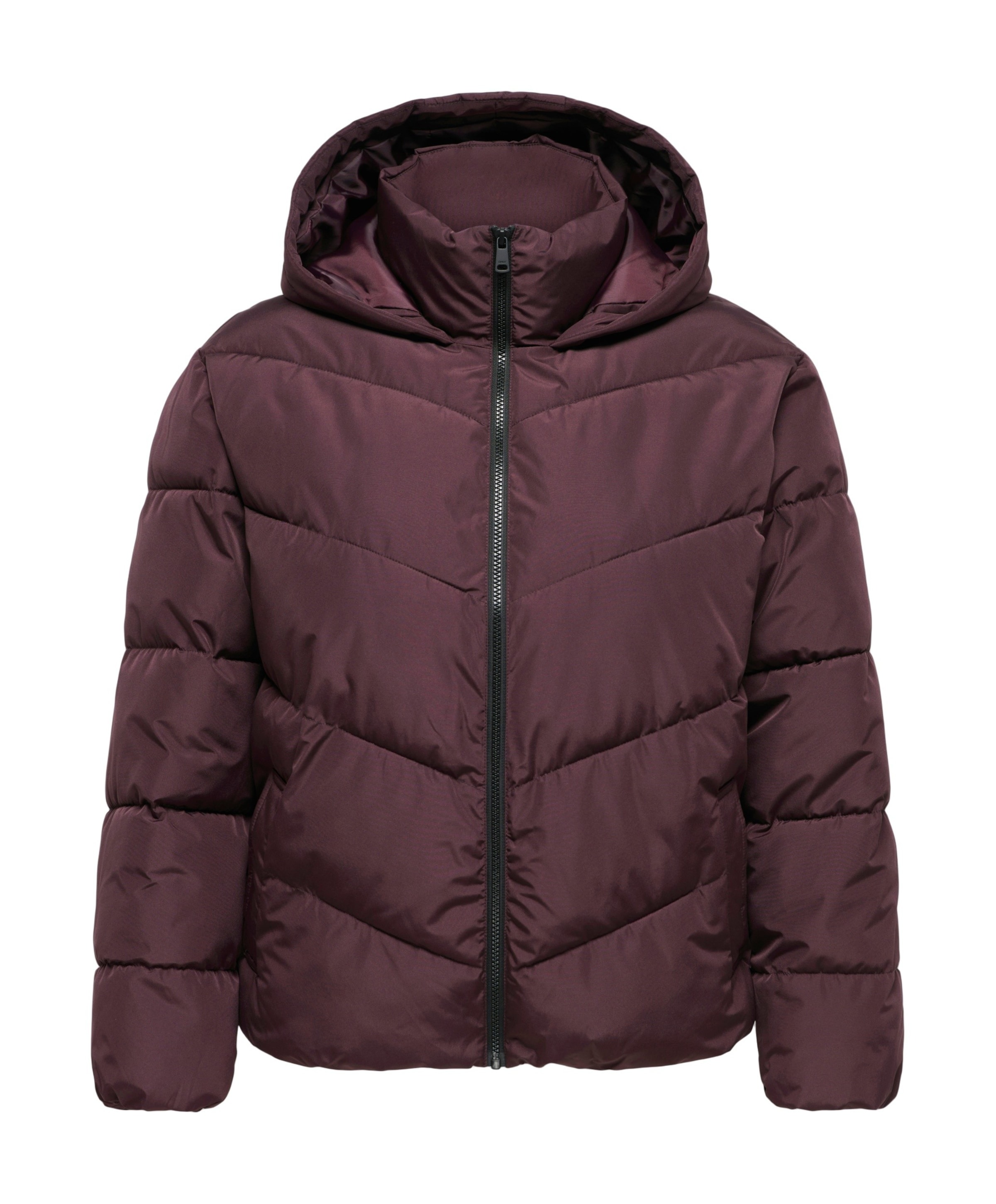Dames jas bordeaux