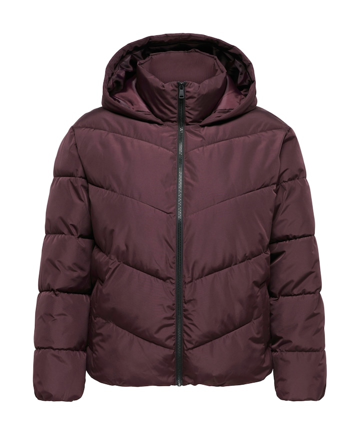 Dames jas bordeaux
