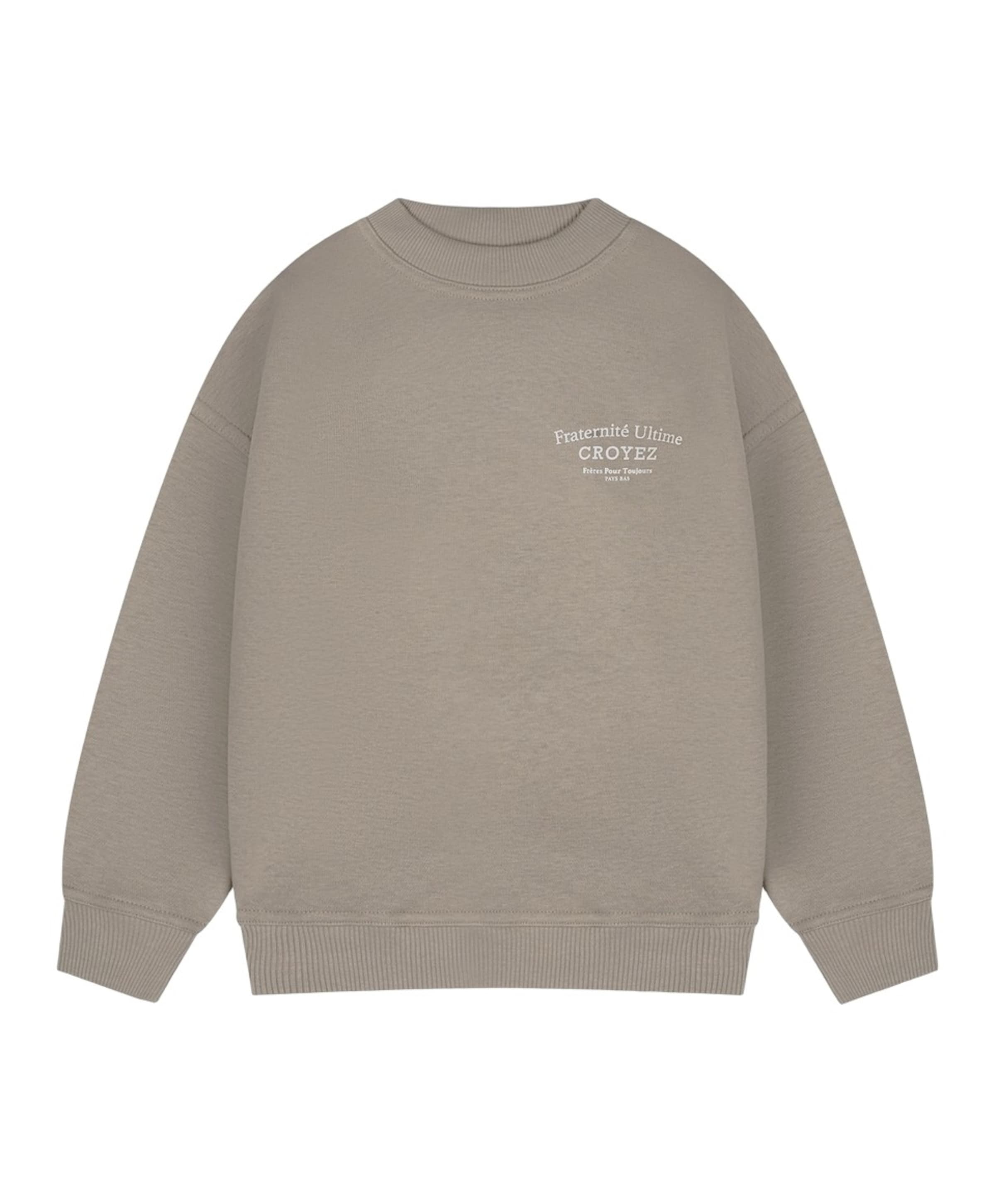 Jongens sweater grijs