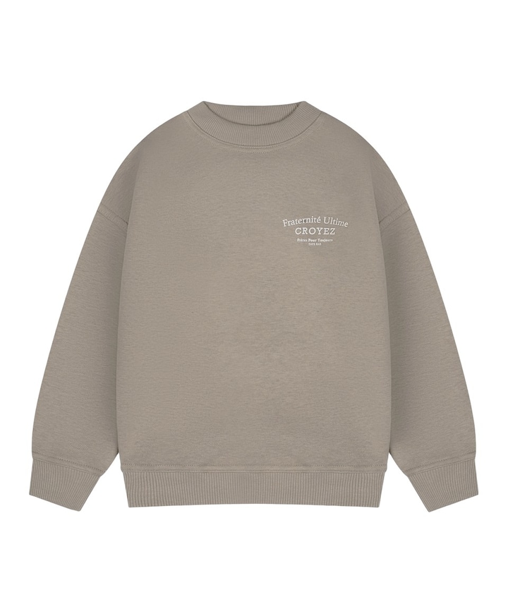 Jongens sweater grijs