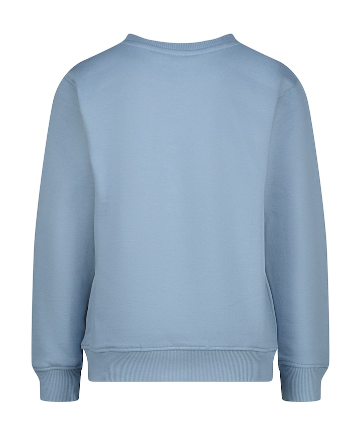 Jongens sweater blauw