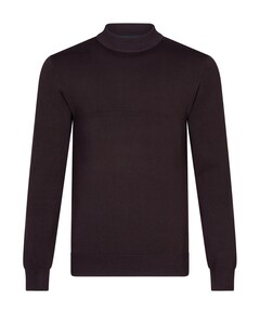Heren coltrui bruin