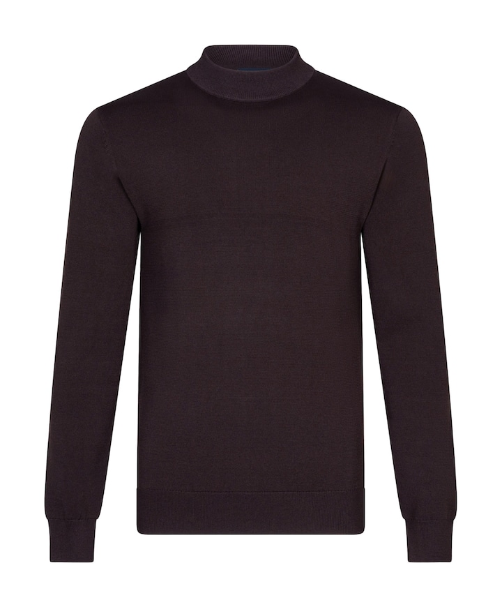 Heren coltrui bruin