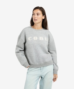 Dames sweater grijs