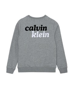 Jongens sweater grijs
