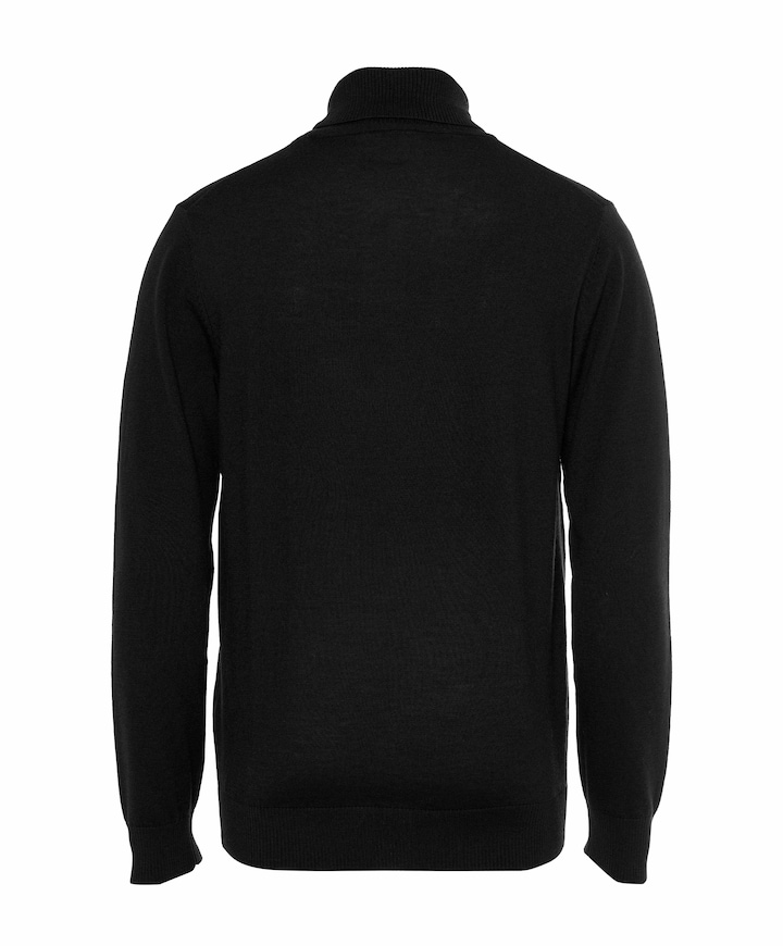 Heren coltrui zwart