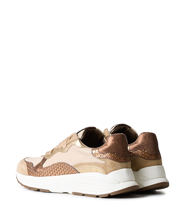 Rainbow dames sneakers bruin