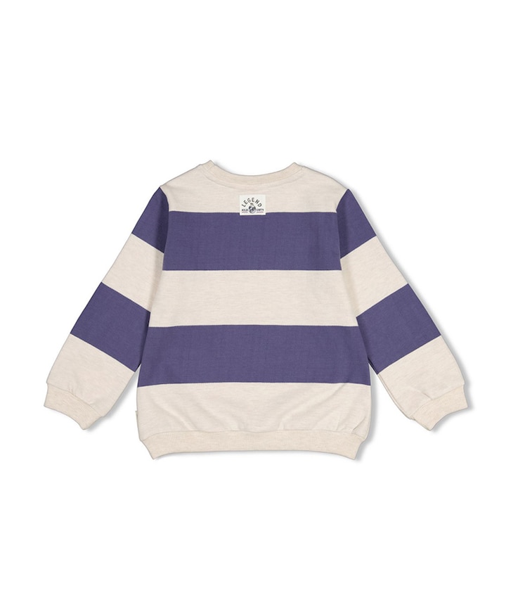 Jongens sweater blauw