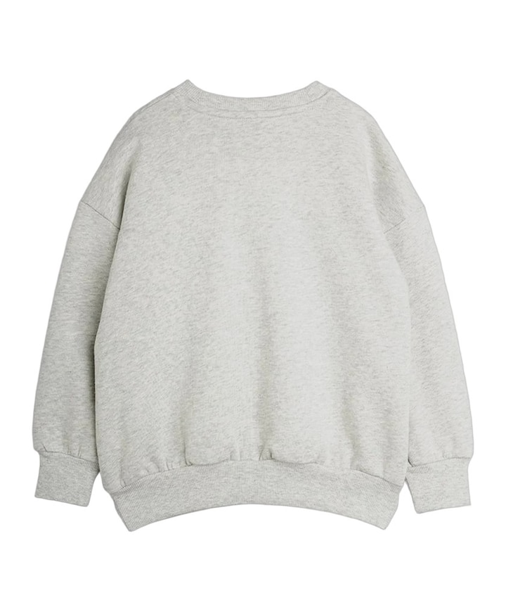 Meisjes sweater grijs