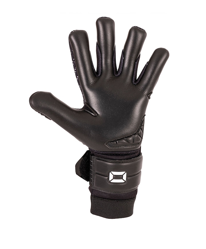 Keepershandschoenen zwart