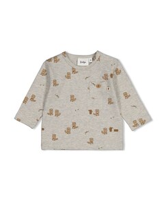 Jongens longsleeve grijs