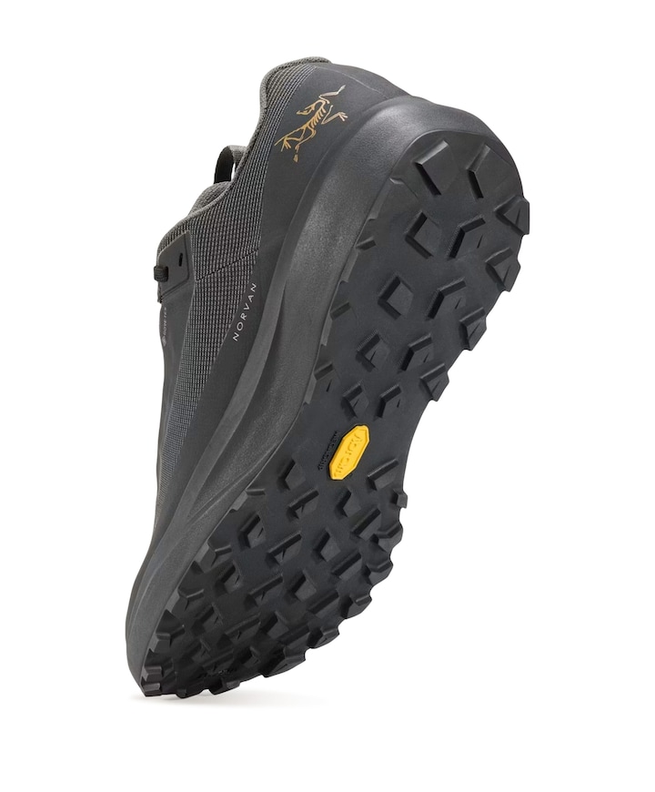 NORVAN LD 4 GTX MEN heren wandelschoenen zwart