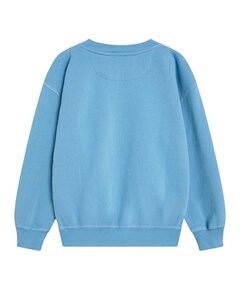 Uniseks sweater  blauw