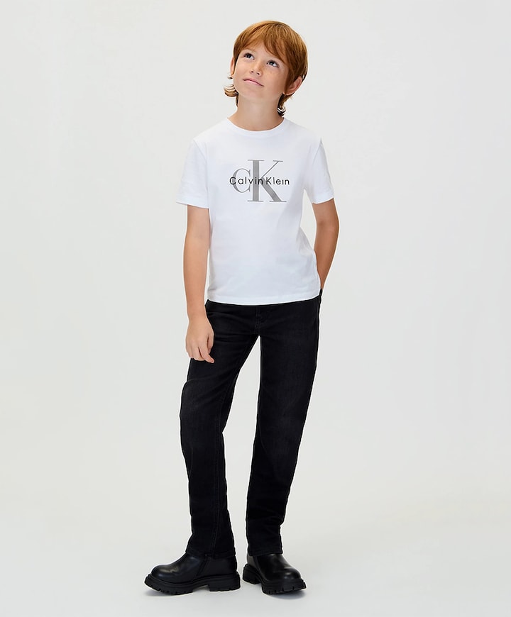 REG STRAIGHT WASHED BLACK jeans grijs