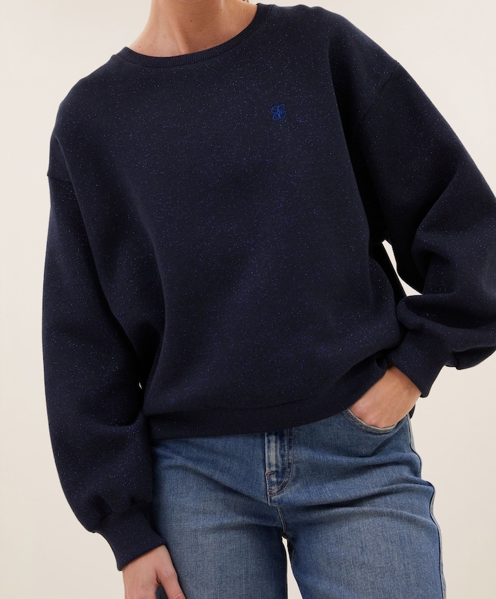 Dames sweater blauw