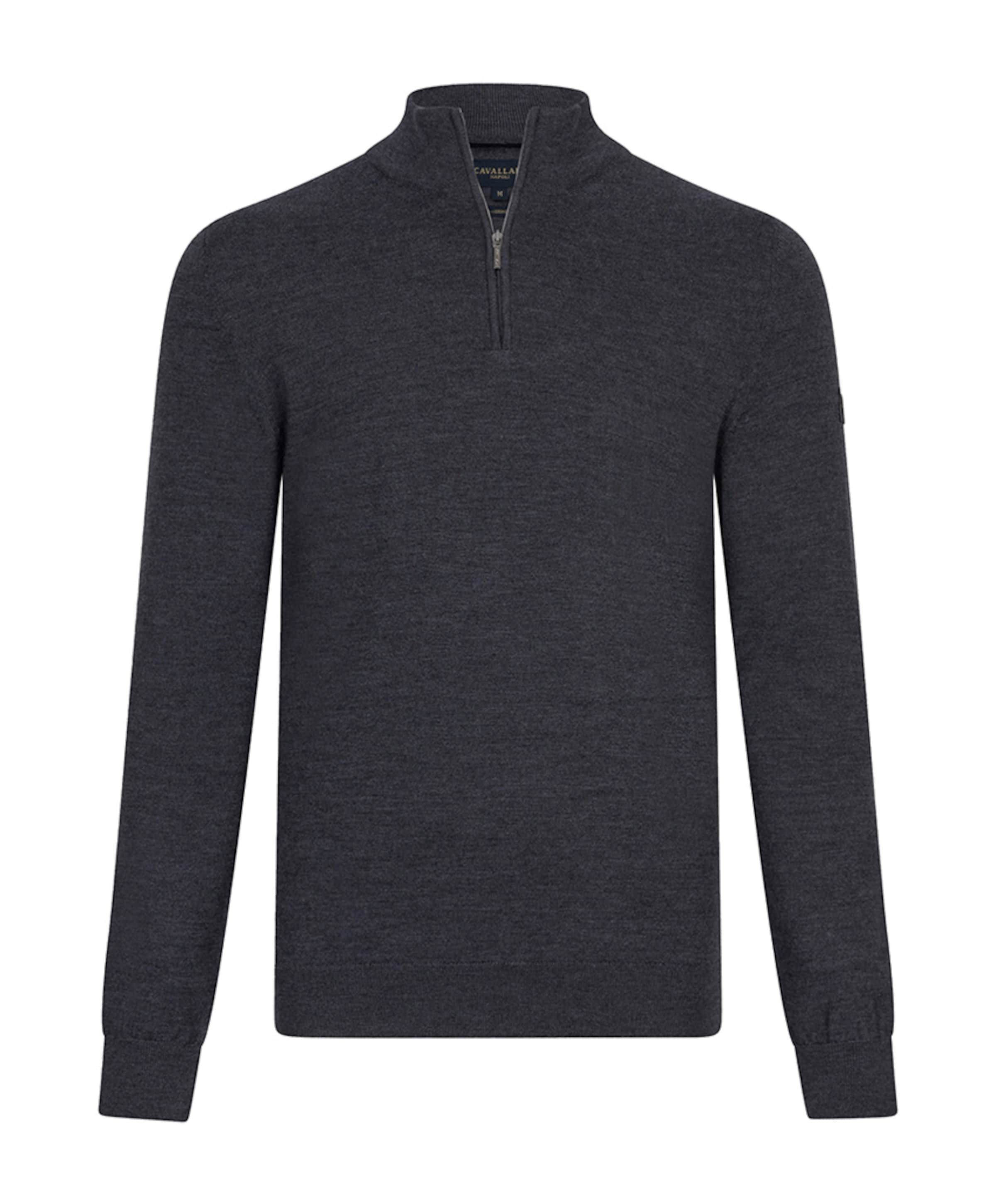 Heren trui met rits grijs