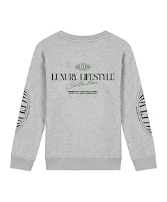 Jongens sweater grijs