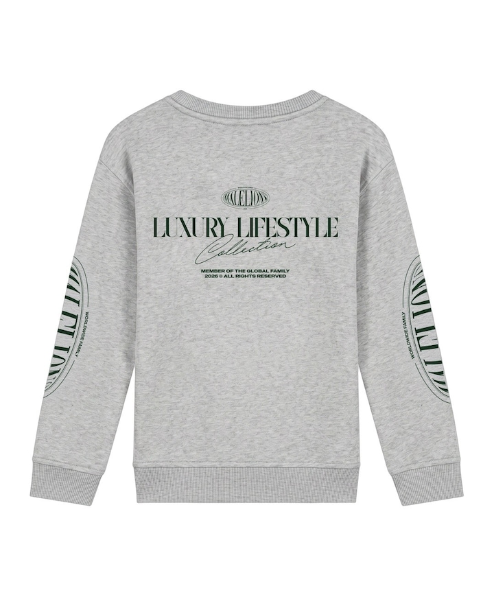 Jongens sweater grijs