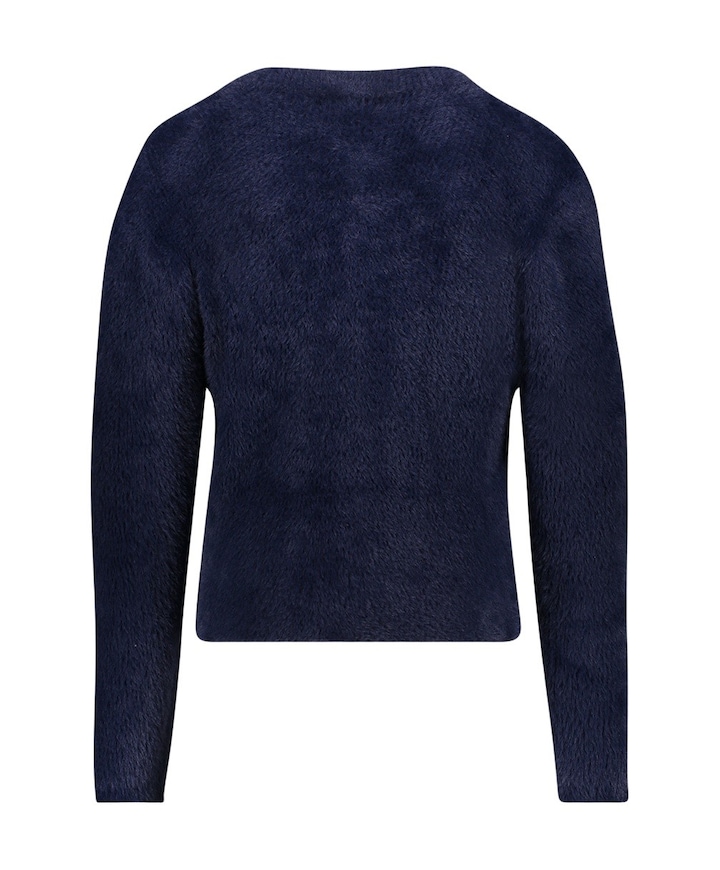 Meisjes vest blauw