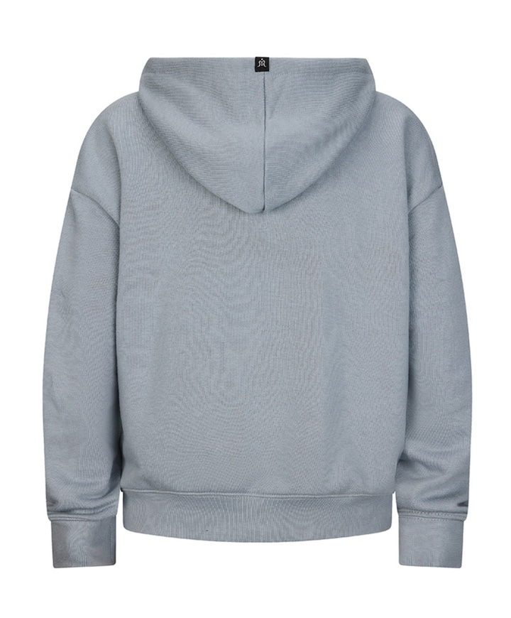 Jongens hoodie grijs