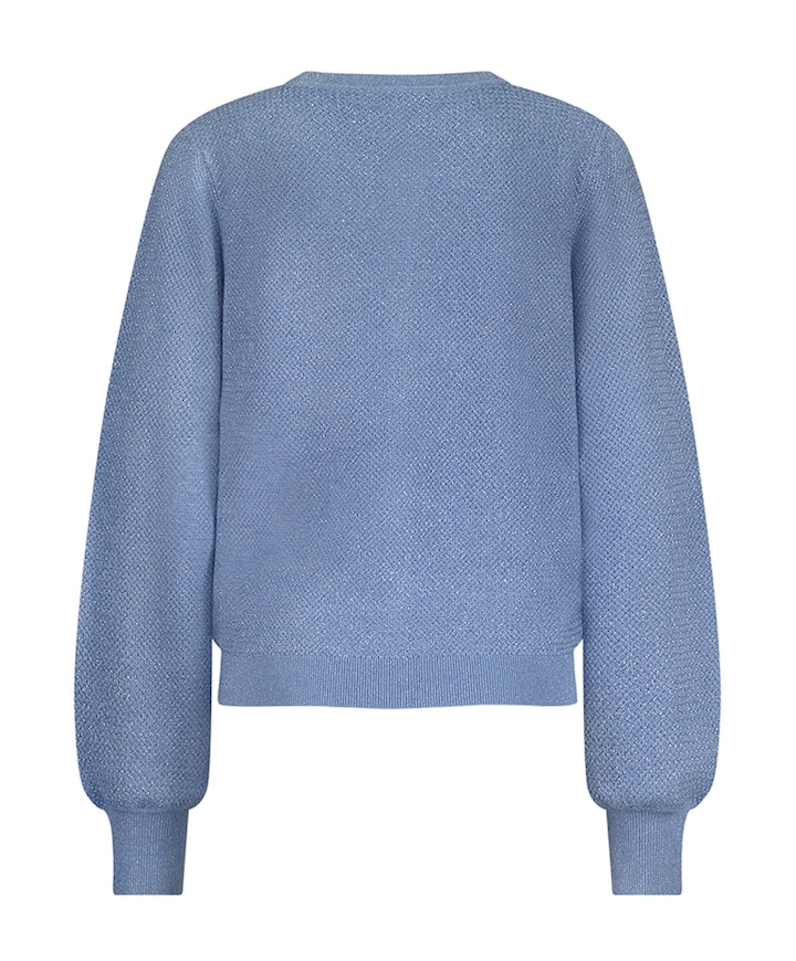 Vest blauw