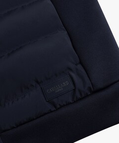 Heren bodywarmer blauw