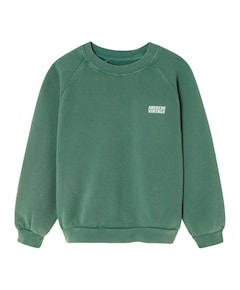 Uniseks sweater  groen