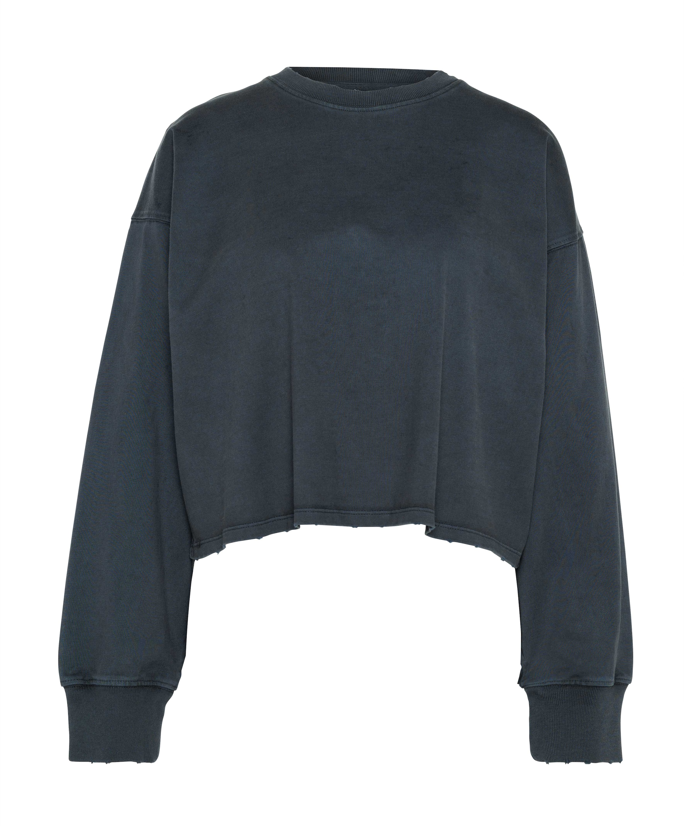 Dames sweater blauw
