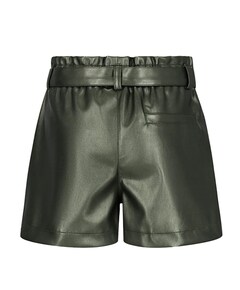 Fay linn korte broek groen