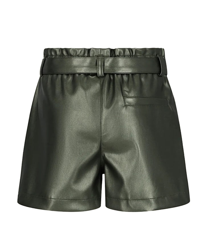 Fay linn korte broek groen