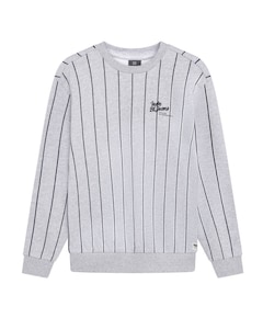 Jongens sweater grijs