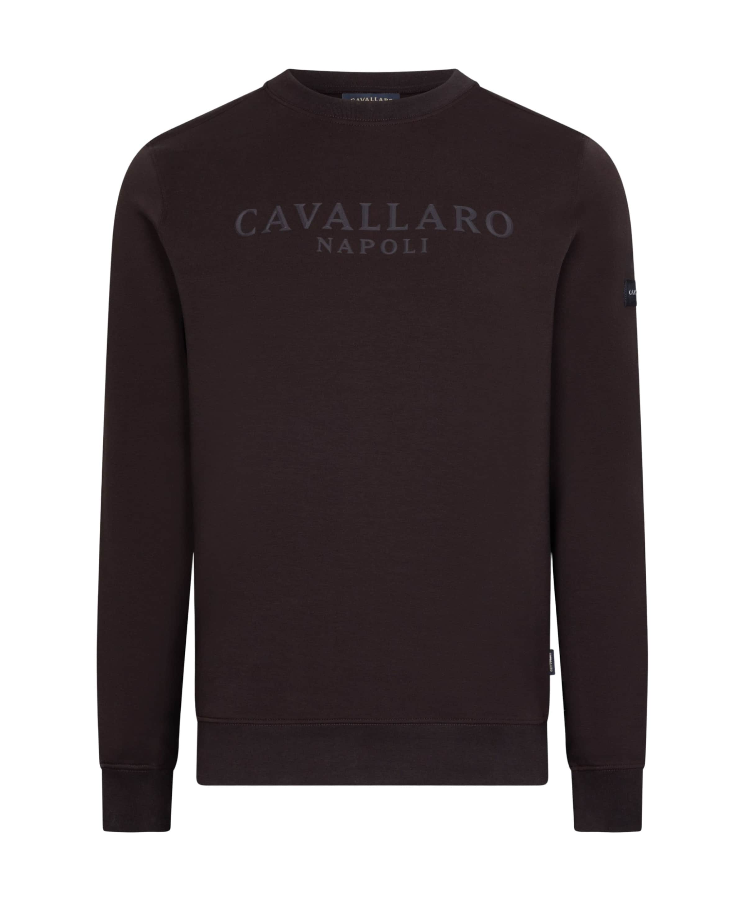 Heren sweater bruin