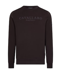Heren sweater bruin