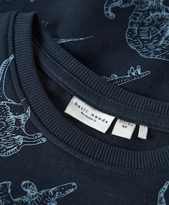 Jongens sweater blauw
