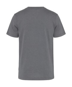Heren t-shirt grijs