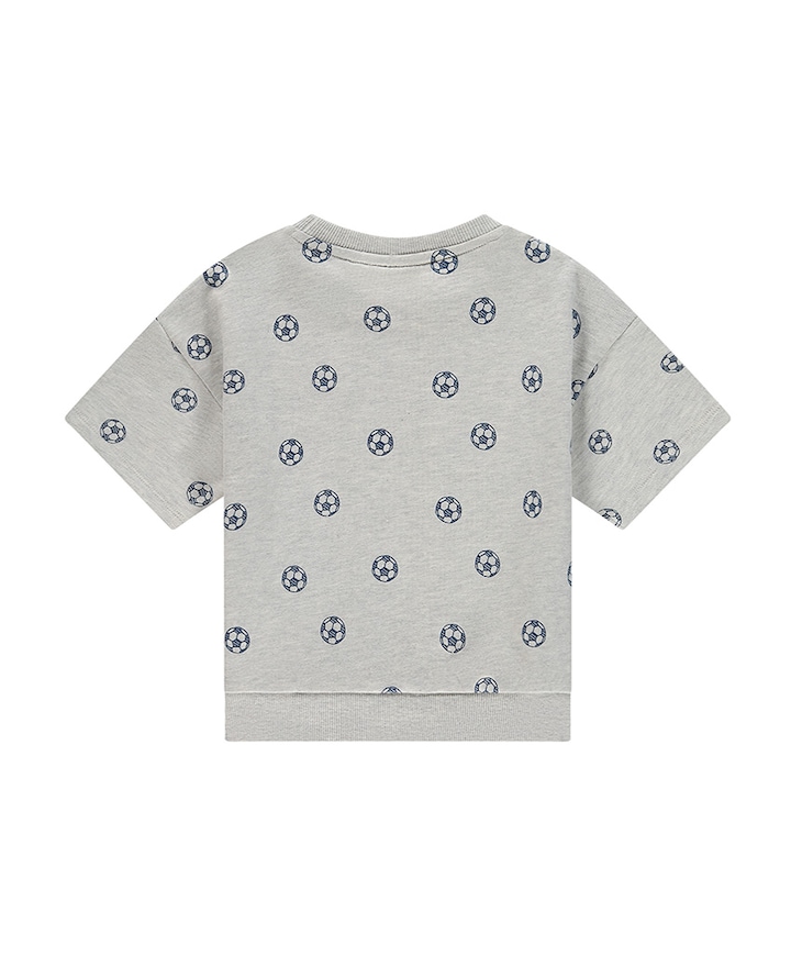 Jongens T-shirt grijs