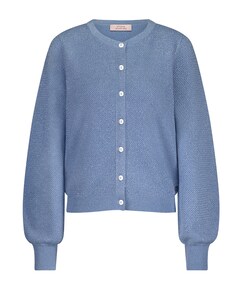 Vest blauw