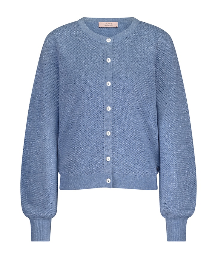 Vest blauw